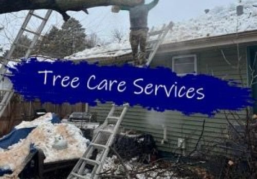 Torres Painting - Tree Care Services